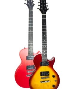 Palmer PE-LPS Electric Guitar Standard Series
