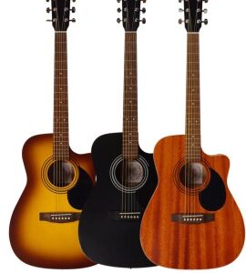 Berkeley Guitars Acoustic Guitar Elementary Cutway