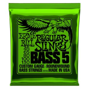 Regular Slinky 5-String Nickel Wound Electric Bass Strings - 45-130 Ga