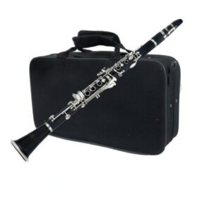 Hoffer HCL100 Clarinet w/Case