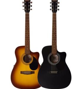 Berkeley Guitars Semi Acoustic Guitar Elementary EQ / Cutaway