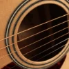 Berkeley Guitars Acoustic Guitar Dreadhot Open Pore - Image 5