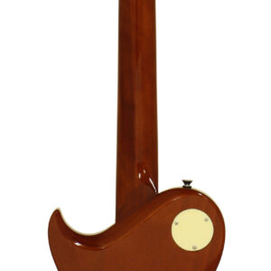 Alternative view of Aria Pro II PE-350PG