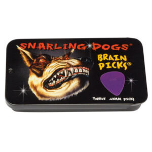 D'ANDREA 351 BRAIN PICKS-PURPLE .60MM - 12PC TIN